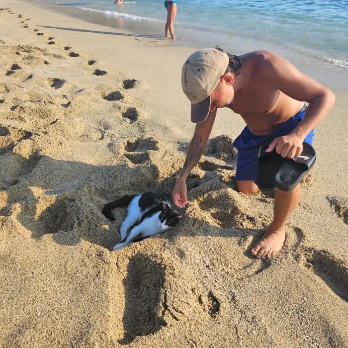 Alpa Abi am Strand