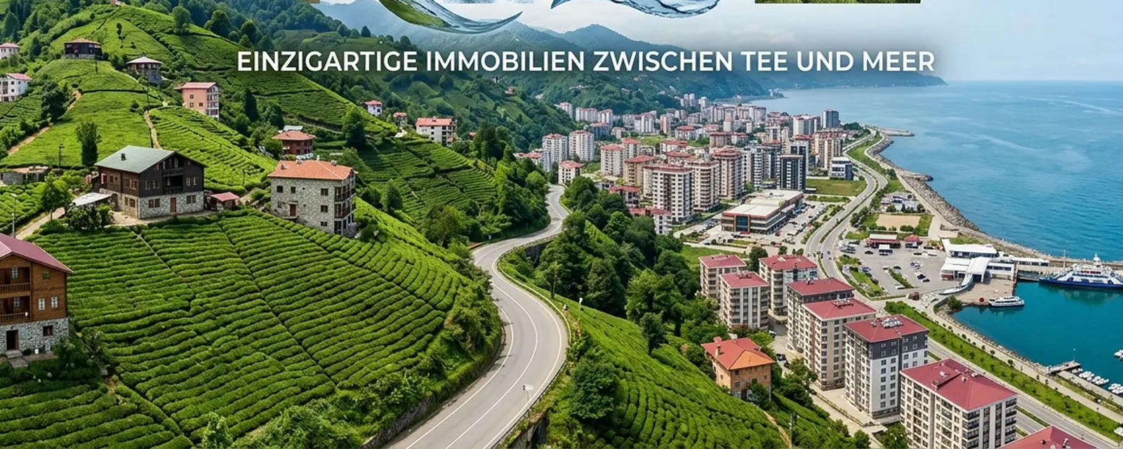 Karadeniz'de Rize'de çay bahçeleri ve sahil