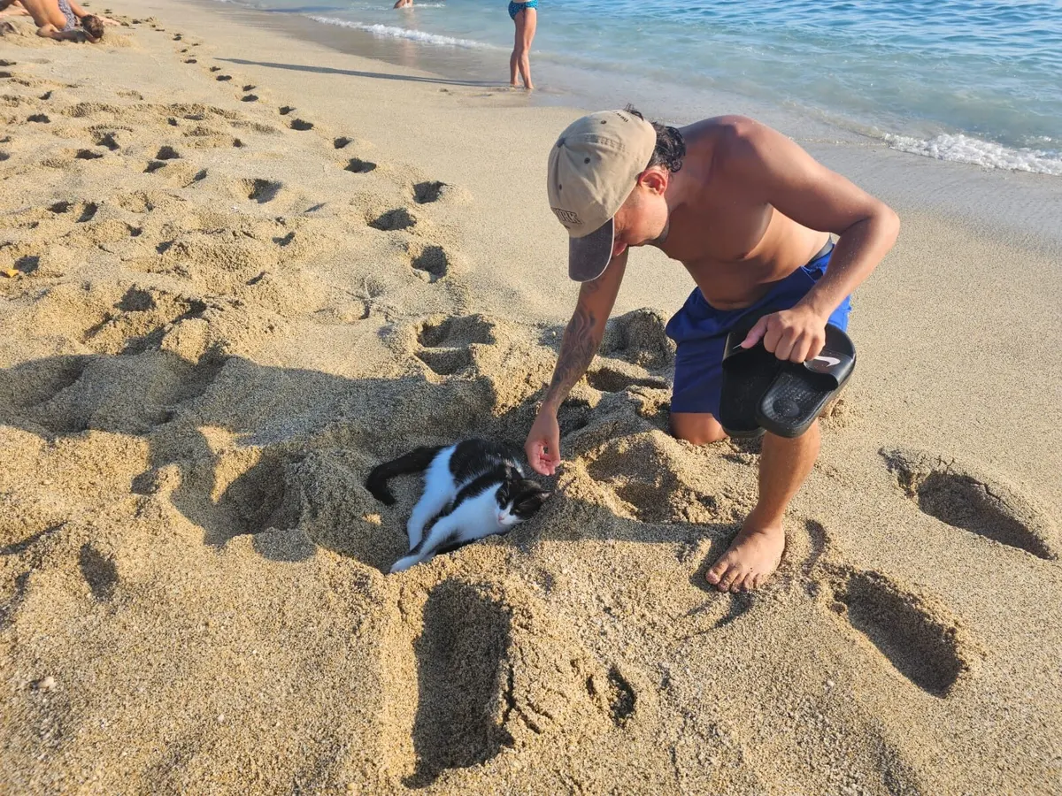 Alpa Abi with a cat in the sand on a beach in Turkey